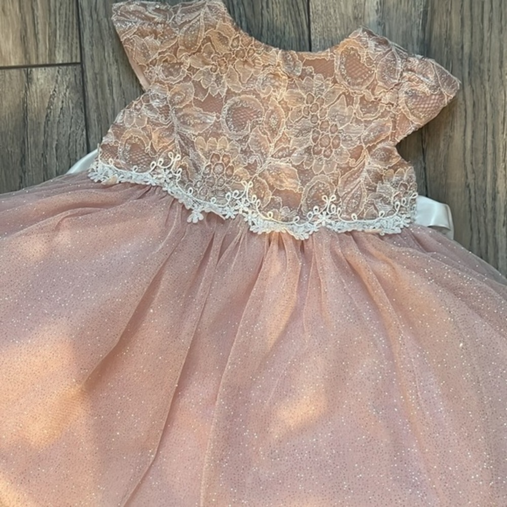 Little girl toddler light pink lace and tulle flower girl formal wedding dress